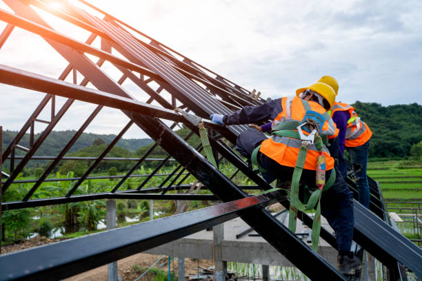 Best Roof Maintenance Services  in Capitol View, SC